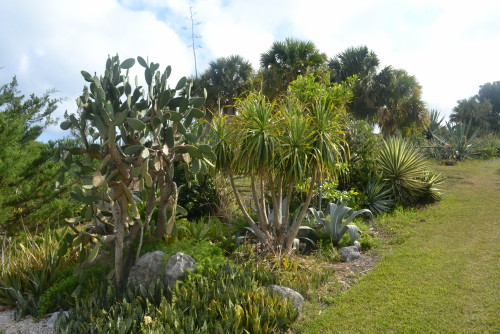 botanical gardens