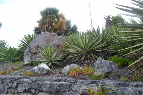 botanical garden
