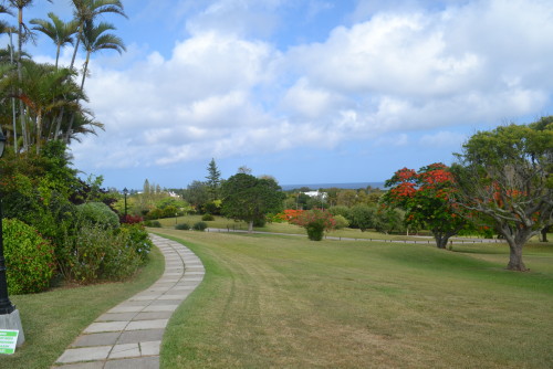 botanical garden
