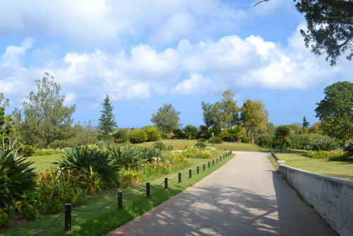 botanical garden