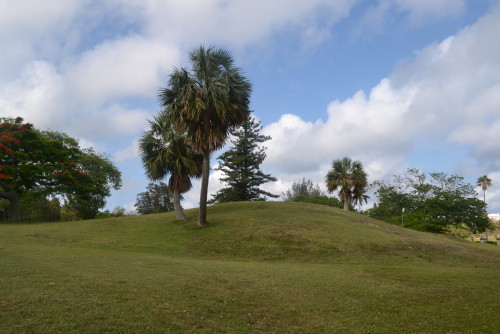 botanical garden