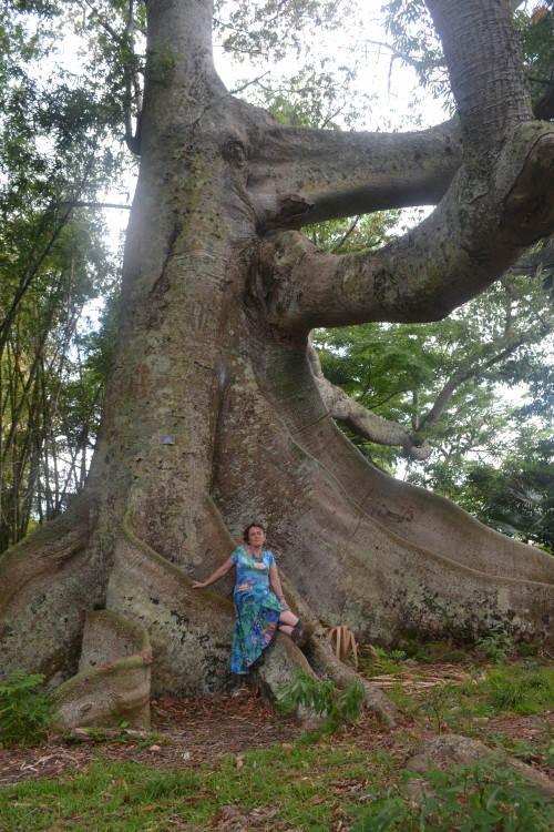 botanical garden