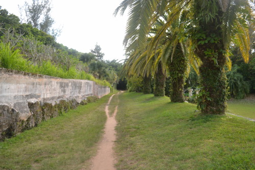 Railway trail