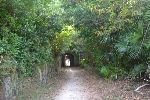 Railway trail