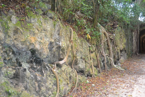 Railway trail