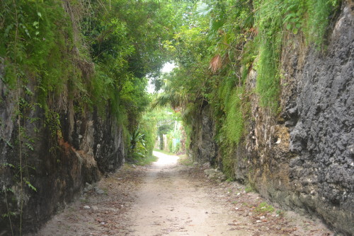 Railway trail