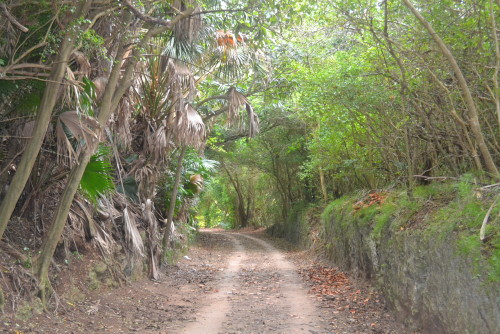 Railway trail