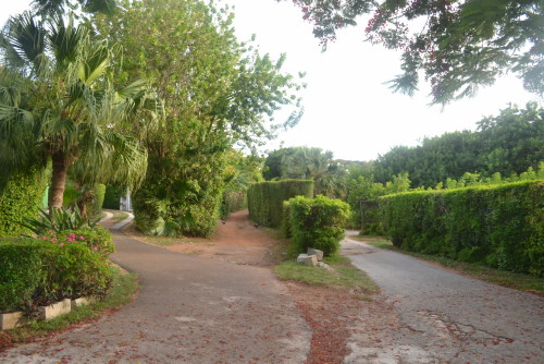 Railway trail