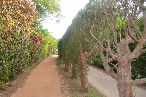 Railway trail