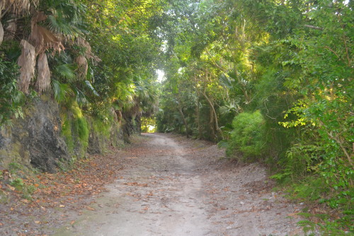 Railway trail
